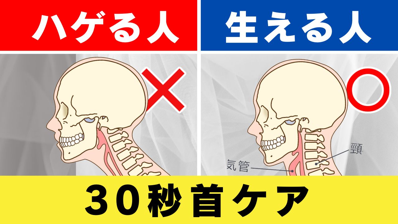 30秒で解決！女性の薄毛改善を叶える首こりケア
