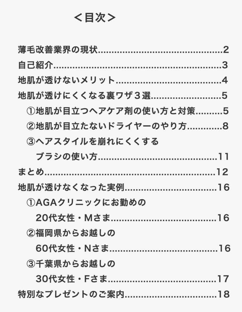 ドライヤーの乾かし方、ブラシの梳かし方、ヘアケアで地肌が透けにくい方法を解説した小冊子の目次です。