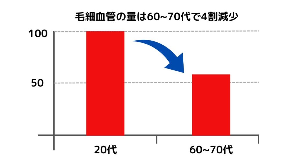 エイジングによる女性の抜け毛、細毛の問題は毛細血管のゴースト化！？